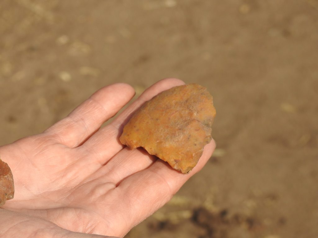Stone Tools -- which came first: technology or socieety