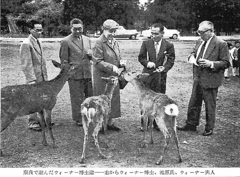 The Wieners playing in Nara. From the right: Dr. Wiener, Mr. Ikehara, Mrs. Wiener.